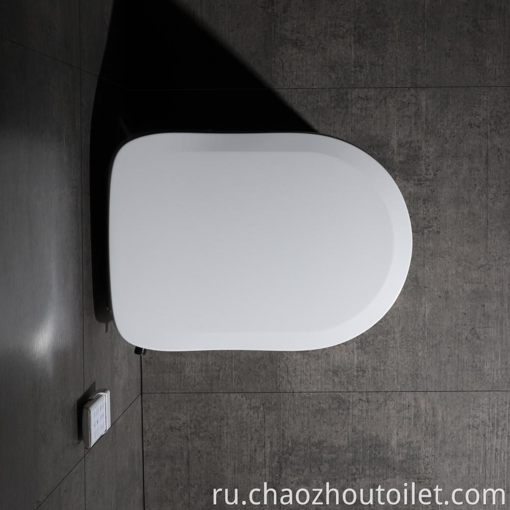 6102 19 Smart Toilet